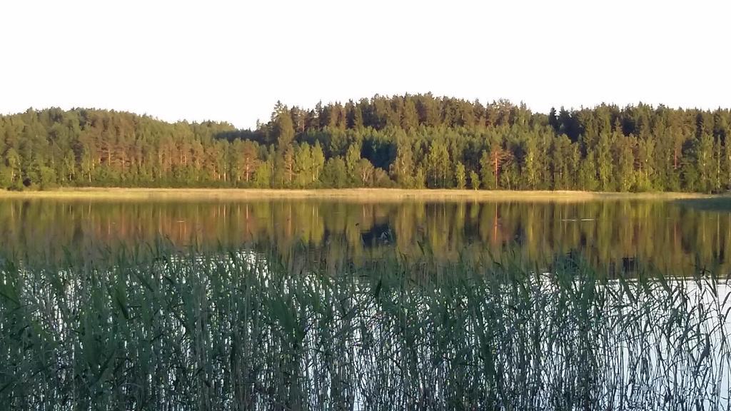 Lakehouse Saimaa B&B Taipalsaari Εξωτερικό φωτογραφία